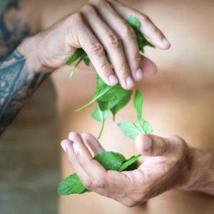  Sprchový gel 3 v 1 pro muže Energie máty lahev 500 ml