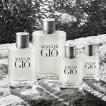 Acqua di Giò Pour Homme toaletní voda pro muže 50 ml