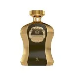 Highness X parfémovaná voda pro muže 100 ml