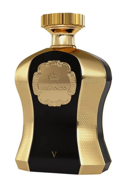 Highness Black V W parfémovaná voda 100 ml
