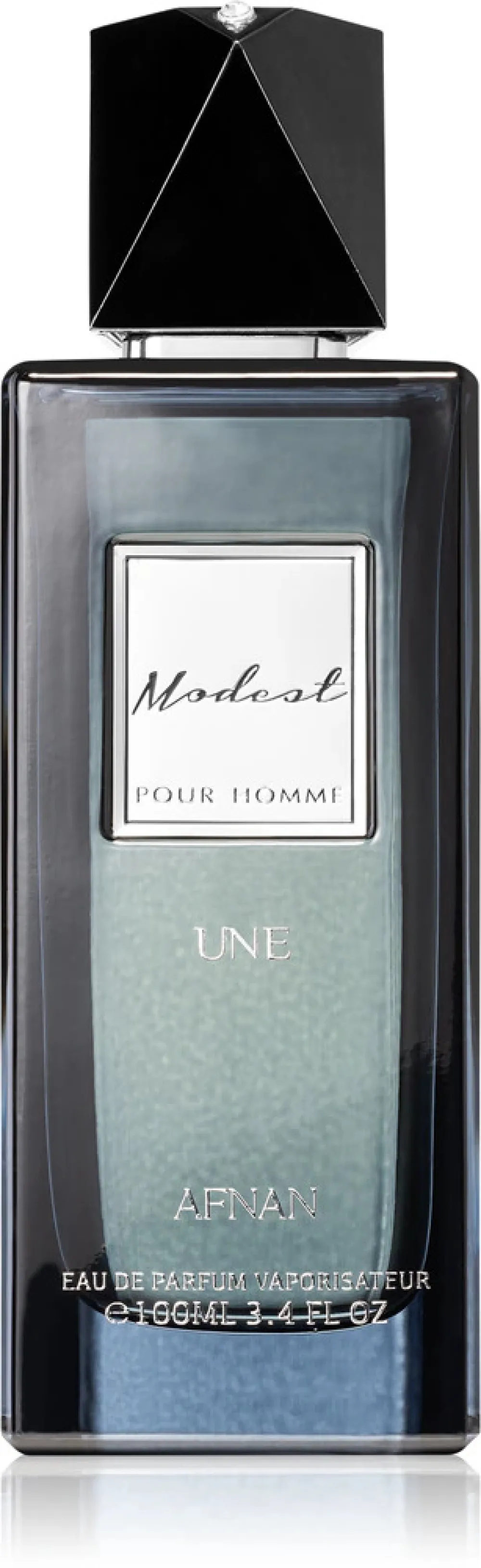 Modest Une Pour Homme parfémovaná voda 100 ml pro muže