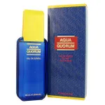 Agua Quorum toaletní voda pro muže 100 ml