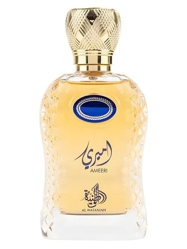 Ameeri U parfémovaná voda 100 ml