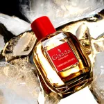 Ambassadora For Women parfémovaná voda pro ženy 100 ml
