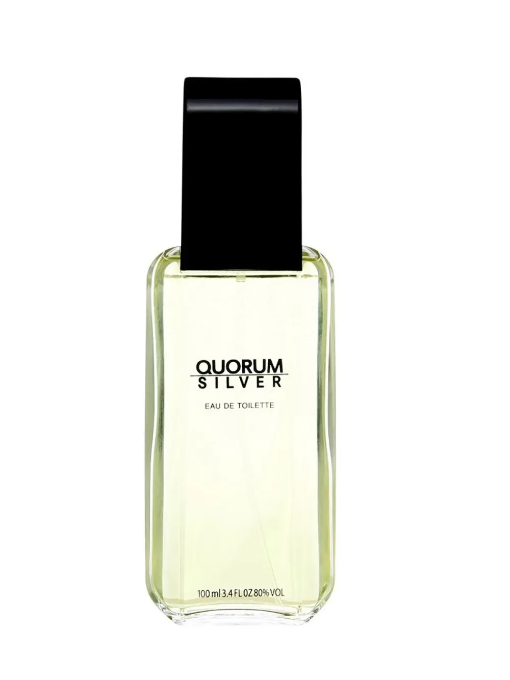Quorum Silver toaletní voda 100 ml pro muže