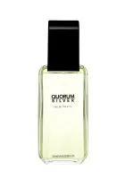 Quorum Silver toaletní voda 100 ml pro muže