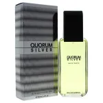 Quorum Silver toaletní voda 100 ml pro muže