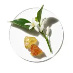 Aromatics in White parfémovaná voda pro ženy 100 ml