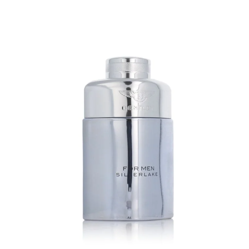 For Men Silverlake parfémovaná voda pro muže 100 ml