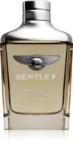 Infinite Intense parfémovaná voda pro muže 100 ml