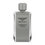 Momentum Intense parfémovaná voda pro muže 100 ml