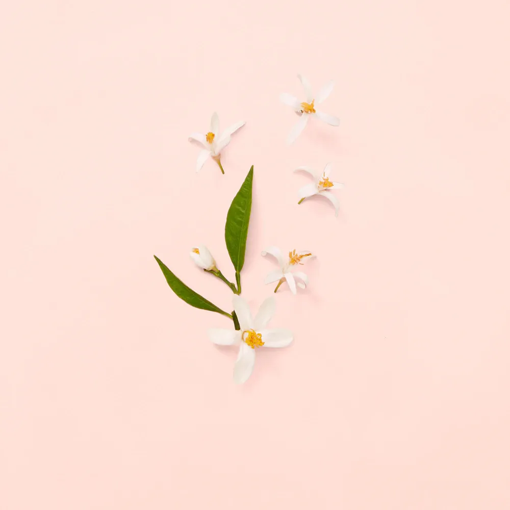 Bloom toaletní voda pro ženy 100 ml