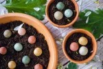 Blossombs Semínkové bomby - Dárková sada menší - Šťastný nový domov (7 ks) - originální a praktický dárek v jednom