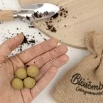 Blossombs Semínkové bomby - Dárková sada mini - Bylinková zahrádka (4 ks) - originální a praktický dárek v jednom