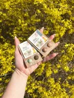 Blossombs Semínkové bomby - Drobný dáreček - Děkuji, že mi pomáháte růst (2 ks) - darujte květinu jinak