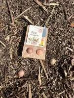 Blossombs Semínkové bomby - Drobný dáreček - Děkuji, že mi pomáháte růst (2 ks) - darujte květinu jinak