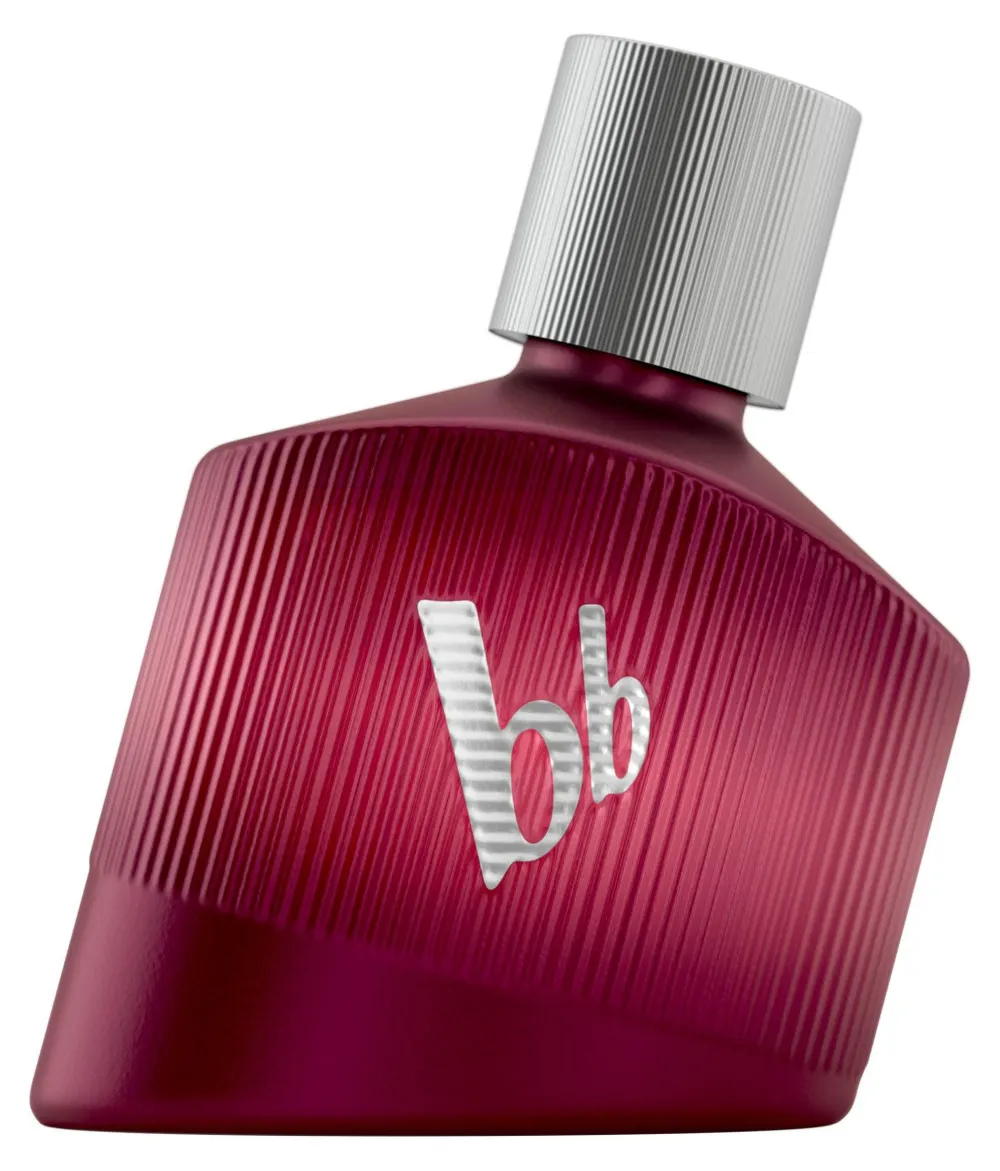 Loyal Man parfémovaná voda pro muže 30 ml