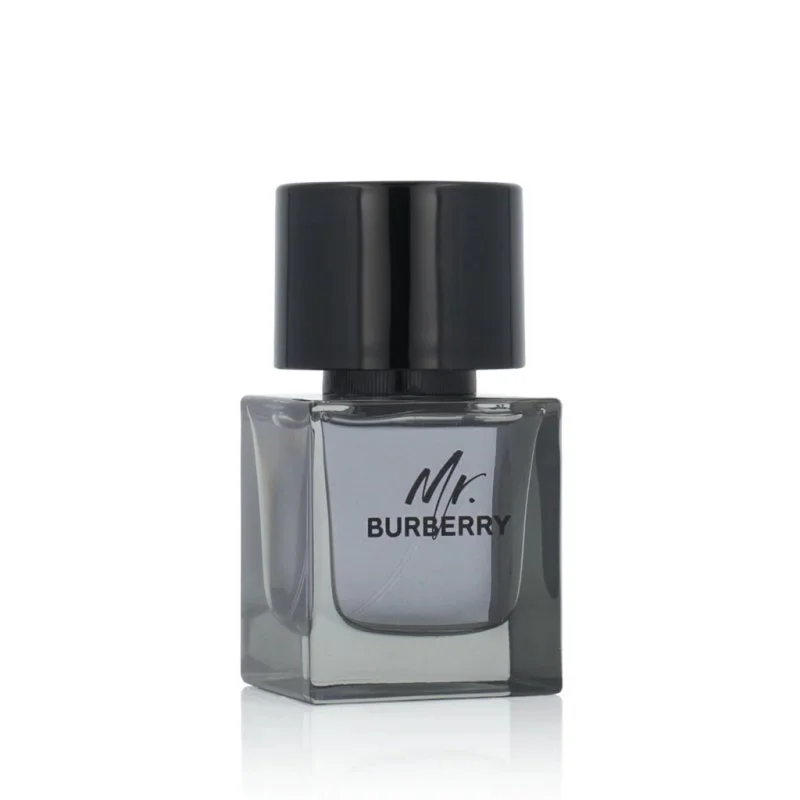 Mr. Burberry toaletní voda pro muže 50 ml