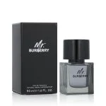 Mr. Burberry toaletní voda pro muže 50 ml