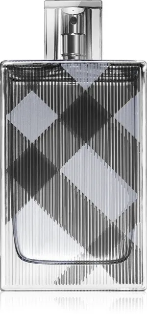 Burberry Brit For Men toaletní voda pro muže 100 ml