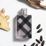 Brit For Men toaletní voda pro muže 100 ml