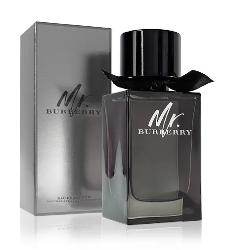 Mr. Burberry parfémovaná voda pro muže 50 ml