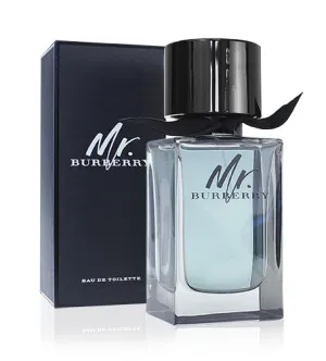 Burberry Mr. Burberry toaletní voda pro muže 100 ml