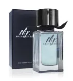 Mr. Burberry toaletní voda pro muže 100 ml