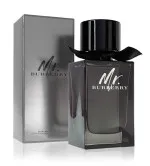Mr. Burberry parfémovaná voda pro muže 100 ml