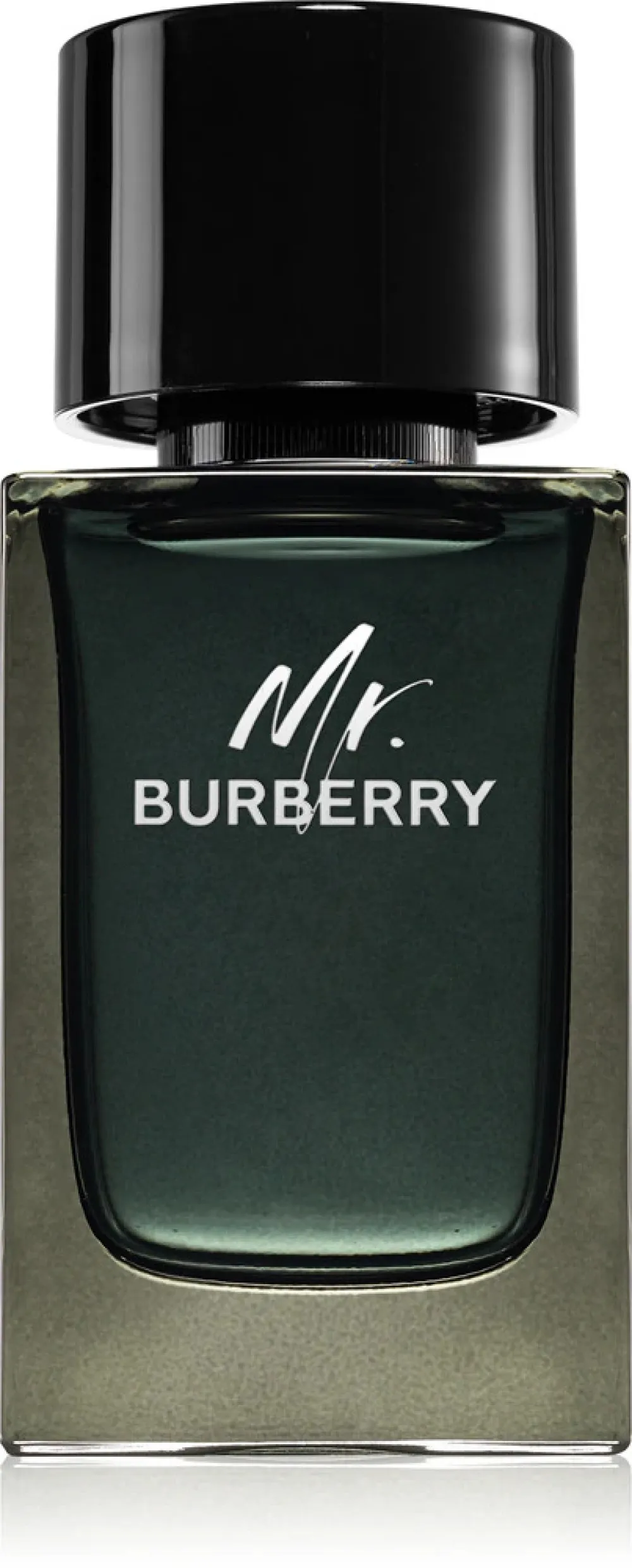 Mr. Burberry parfémovaná voda pro muže 100 ml