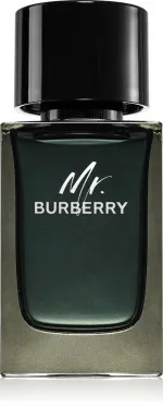 Mr. Burberry parfémovaná voda pro muže 100 ml