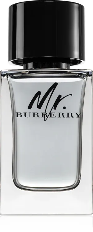 Burberry Mr. Burberry toaletní voda pro muže 100 ml