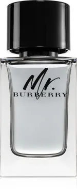 Mr. Burberry toaletní voda pro muže 100 ml