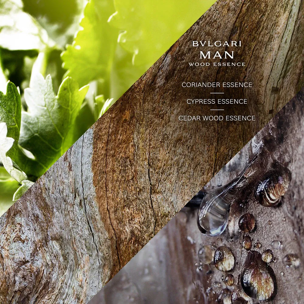 Man Rain Essence parfémovaná voda pro muže 100 ml