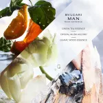 Man Rain Essence parfémovaná voda pro muže 60 ml