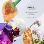 Omnia Amethyste toaletní voda pro ženy 100 ml