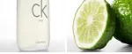 CK One toaletní voda unisex 100 ml