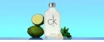 CK One toaletní voda unisex 100 ml
