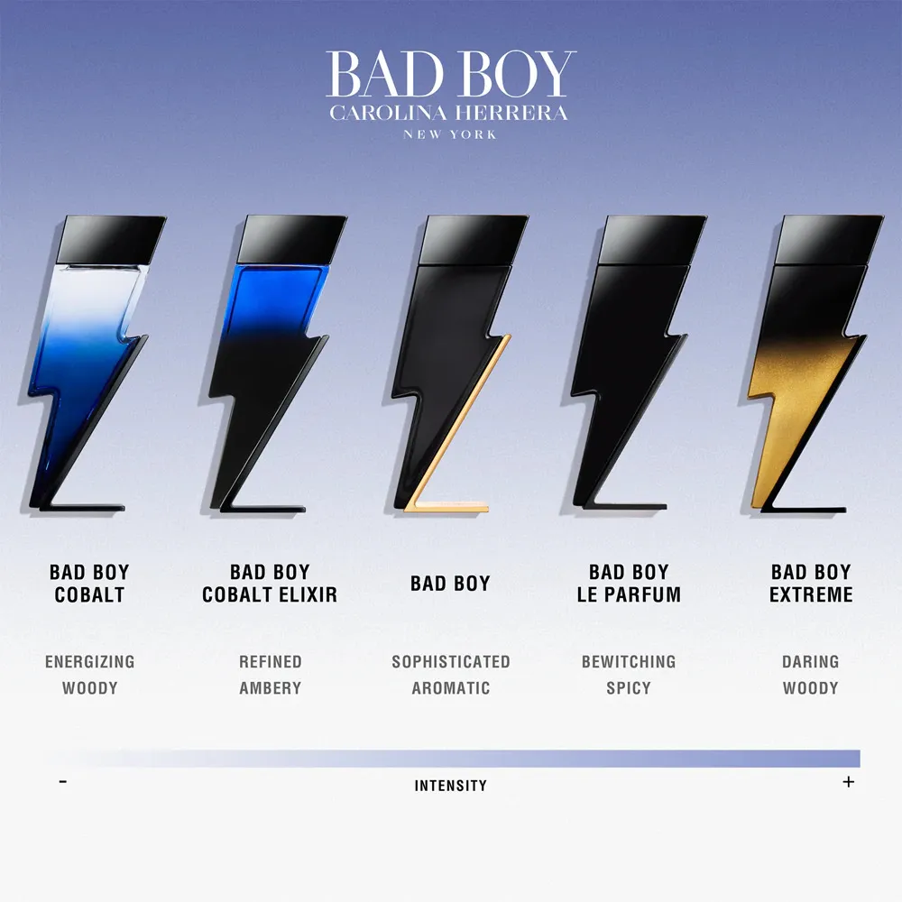 Bad Boy Cobalt parfémovaná voda pro muže 100 ml