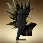 Bad Boy Le Parfum parfémovaná voda pro muže 100 ml