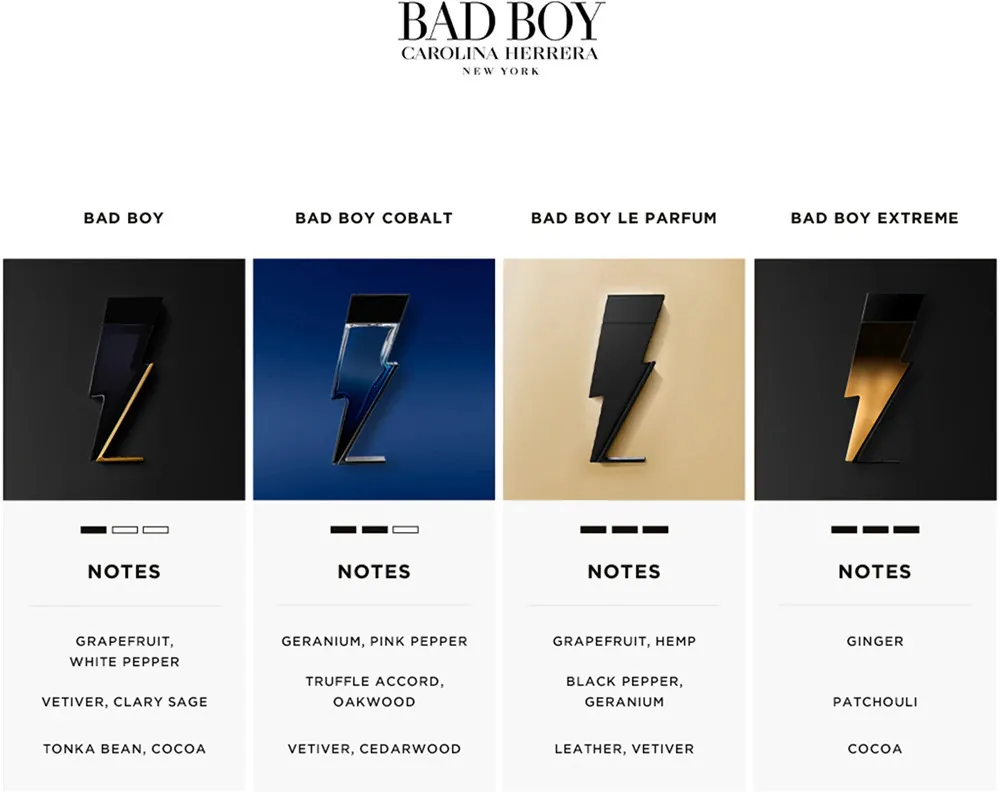 Bad Boy Le Parfum parfémovaná voda pro muže 100 ml