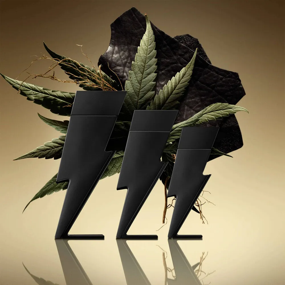 Bad Boy Le Parfum parfémovaná voda pro muže 100 ml
