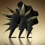 Bad Boy Le Parfum parfémovaná voda pro muže 100 ml