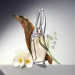 Cashmere Mist toaletní voda pro ženy 100 ml