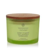 Awaken + Invigorate vonná svíčka se 3 knoty 312 g