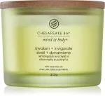 Awaken + Invigorate vonná svíčka se 3 knoty 312 g