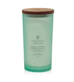 Balance + Harmony Waterlily Pear vonná svíčka 355 g