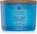 Confidence + Freedom vonná svíčka se 3 knoty 312 g