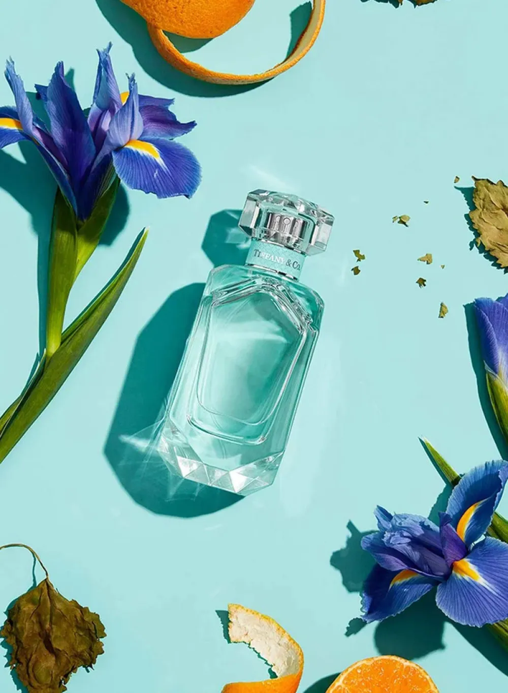 parfémovaná voda pro ženy 75 ml