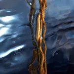 Cool Water Reborn for Him toaletní voda pro muže 75 ml